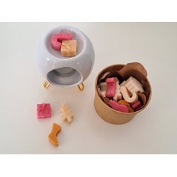 Σετ αρωματιστης και wax melts!