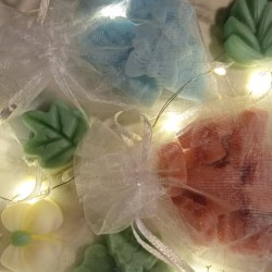 Christmas wax melts